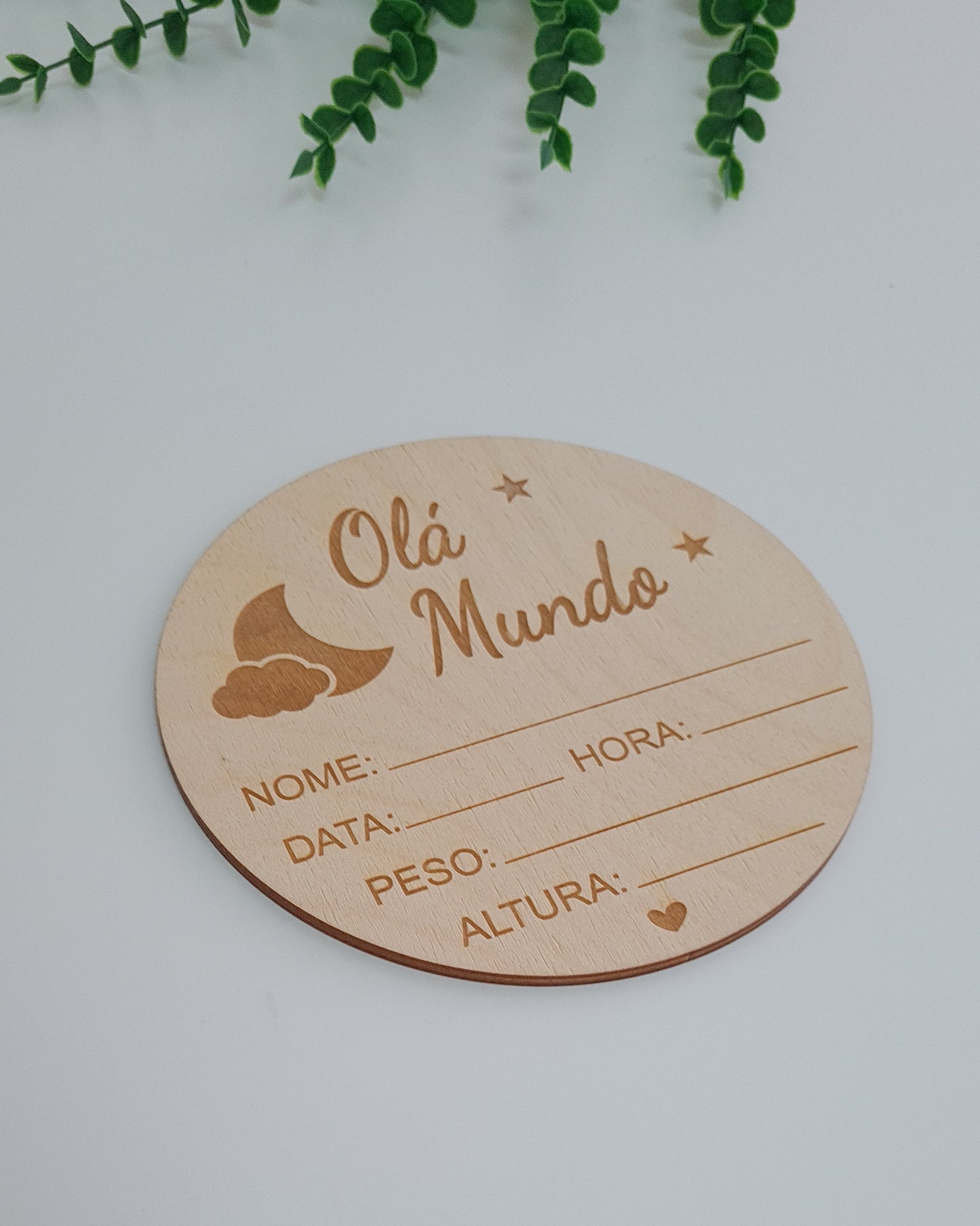 Placa dados do nascimento